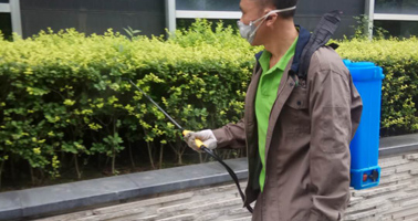 國際質量體系認證