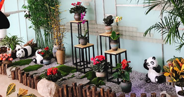 方案設(shè)計(jì)專(zhuān)業(yè)定制