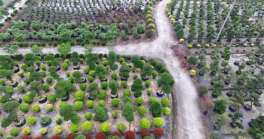 全國(guó)業(yè)務(wù)戰(zhàn)略部署