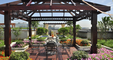 多場景花園設(shè)計(jì)/施工一站式服務(wù)