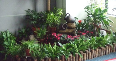 國際質(zhì)量體系認(rèn)證