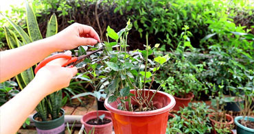 12+1配置貼心服務(wù)