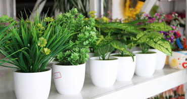 30年行業經驗，鑄造品牌好口碑