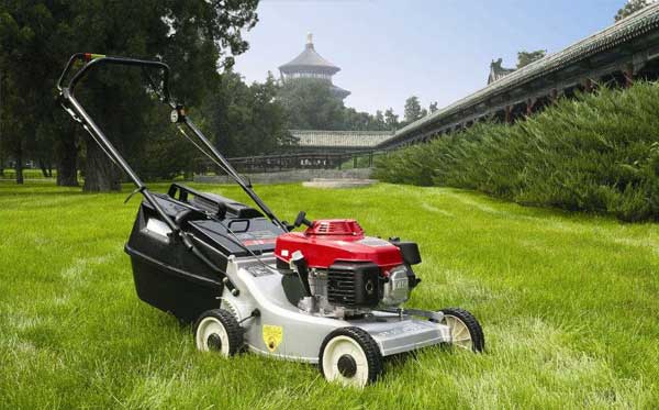 政企單位綠化養護