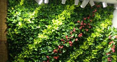 智能·生態系統