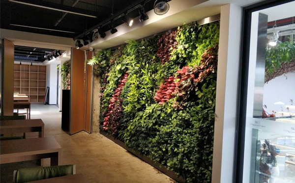 仿真植物墻