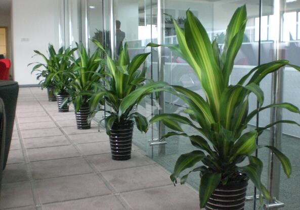 QQ截圖20220816194734