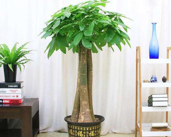 QQ截圖20220830192702