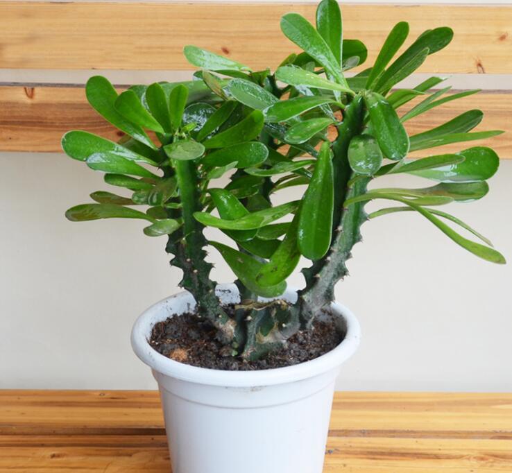 QQ截圖20220913102849