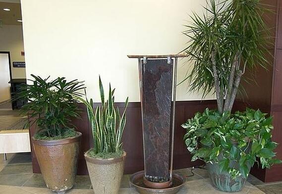 QQ截圖20220927120546