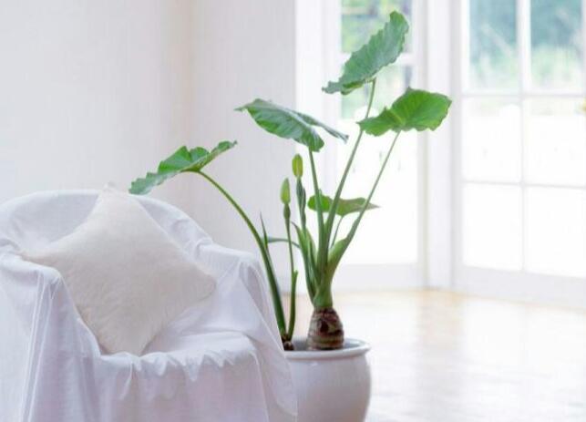 QQ截圖20221011135536