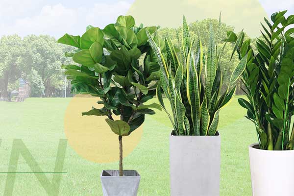 3 關于我們-集團簡介000.jpg